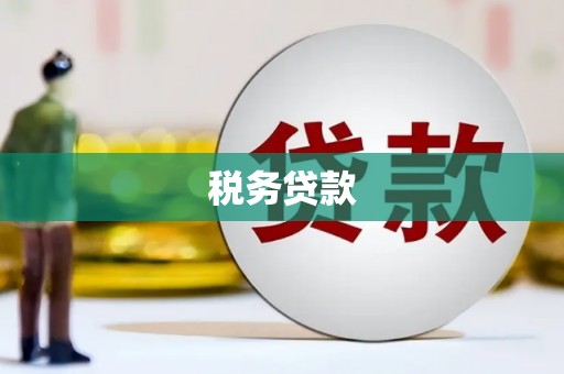 夏县税务贷款