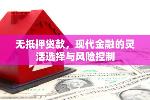 夏县无抵押贷款，现代金融的灵活选择与风险控制