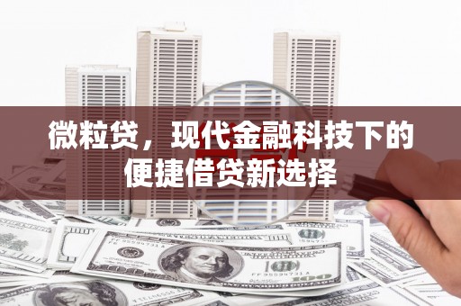 夏县微粒贷，现代金融科技下的便捷借贷新选择
