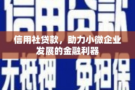 夏县信用社贷款，助力小微企业发展的金融利器