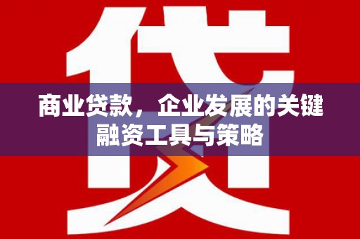 夏县商业贷款，企业发展的关键融资工具与策略
