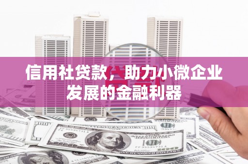 夏县信用社贷款，助力小微企业发展的金融利器