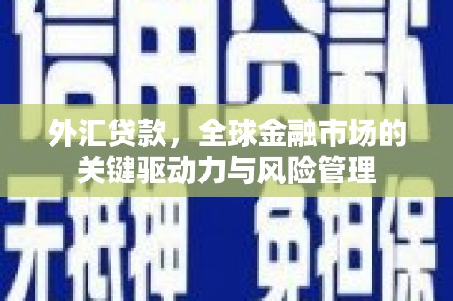 夏县外汇贷款，全球金融市场的关键驱动力与风险管理