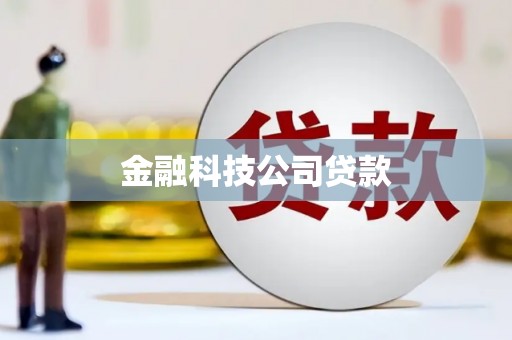 夏县金融科技公司贷款