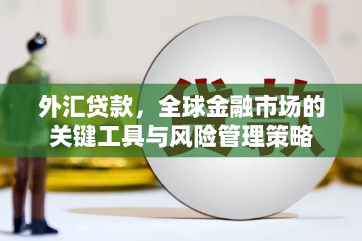 夏县外汇贷款，全球金融市场的关键工具与风险管理策略