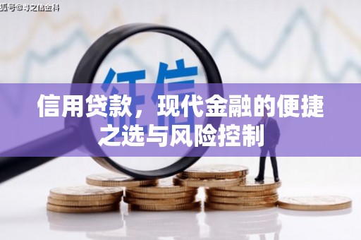 夏县信用贷款，现代金融的便捷之选与风险控制