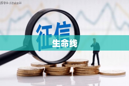 夏县生命线
