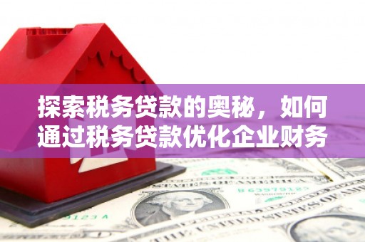 夏县探索税务贷款的奥秘，如何通过税务贷款优化企业财务