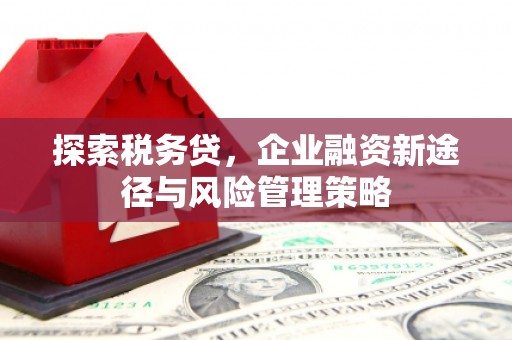 夏县探索税务贷，企业融资新途径与风险管理策略