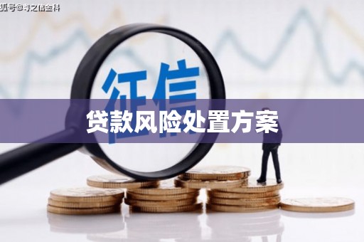 夏县贷款风险处置方案