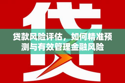 夏县贷款风险评估，如何精准预测与有效管理金融风险