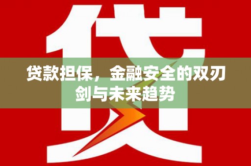夏县贷款担保，金融安全的双刃剑与未来趋势