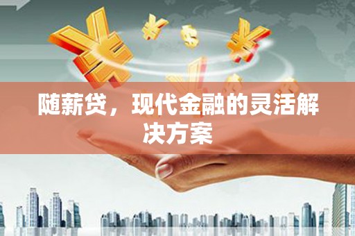 夏县随薪贷，现代金融的灵活解决方案