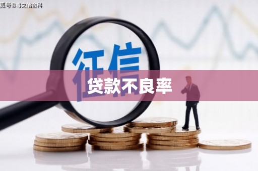 夏县贷款不良率