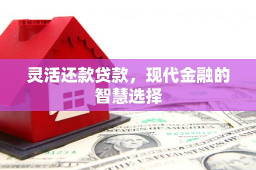 夏县灵活还款贷款，现代金融的智慧选择