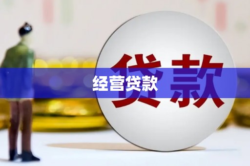 夏县经营贷款