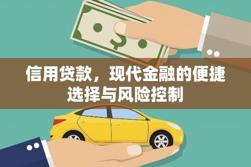 夏县信用贷款，现代金融的便捷选择与风险控制
