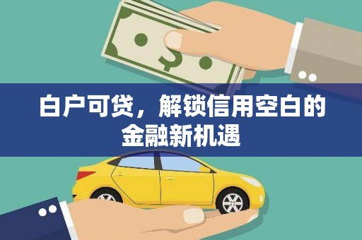 夏县白户可贷，解锁信用空白的金融新机遇