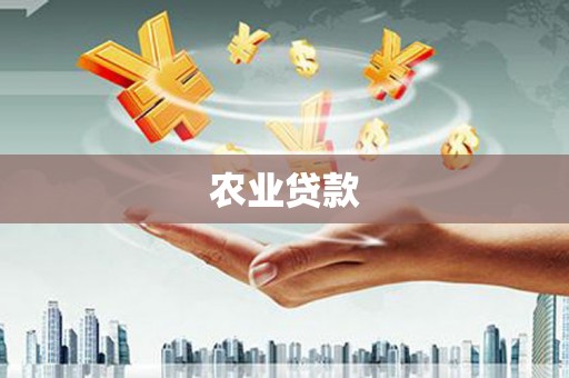 夏县农业贷款