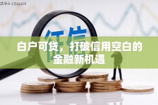 夏县白户可贷，打破信用空白的金融新机遇
