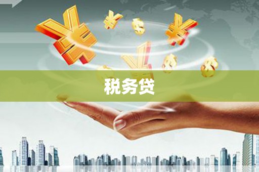 夏县税务贷