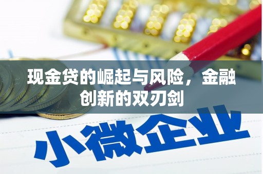 夏县现金贷的崛起与风险，金融创新的双刃剑