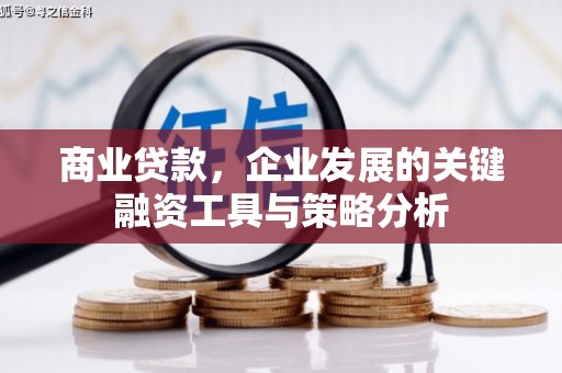 夏县商业贷款，企业发展的关键融资工具与策略分析