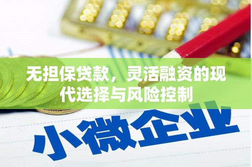 夏县无担保贷款，灵活融资的现代选择与风险控制