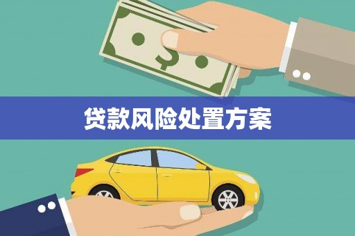 夏县贷款风险处置方案