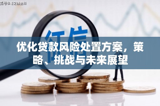 夏县优化贷款风险处置方案，策略、挑战与未来展望