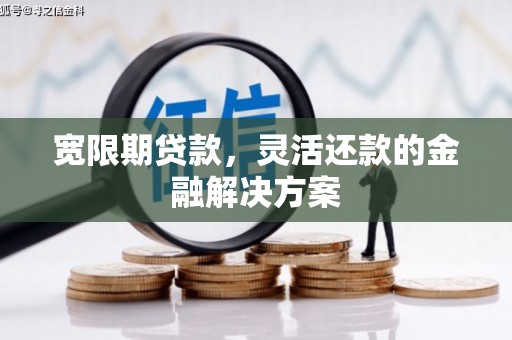 夏县宽限期贷款，灵活还款的金融解决方案