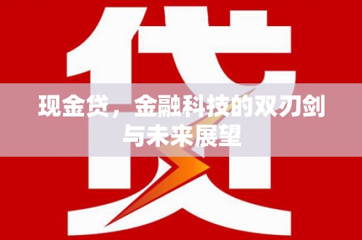 夏县现金贷，金融科技的双刃剑与未来展望