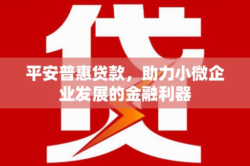 夏县平安普惠贷款，助力小微企业发展的金融利器