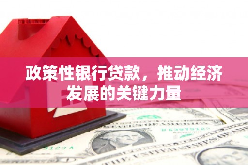 夏县政策性银行贷款，推动经济发展的关键力量