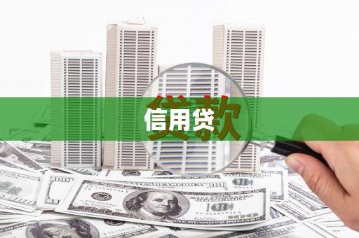 夏县信用贷