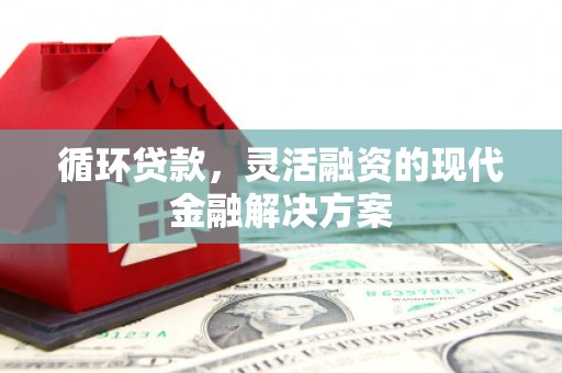 夏县循环贷款，灵活融资的现代金融解决方案