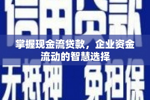 夏县掌握现金流贷款，企业资金流动的智慧选择