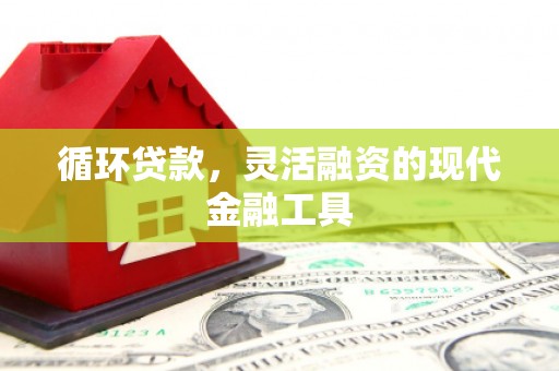 夏县循环贷款，灵活融资的现代金融工具