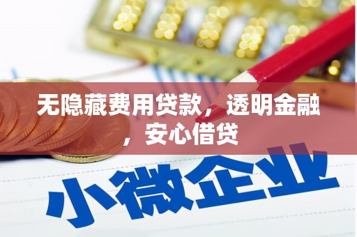 夏县无隐藏费用贷款，透明金融，安心借贷