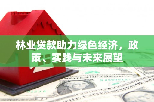 夏县林业贷款助力绿色经济，政策、实践与未来展望