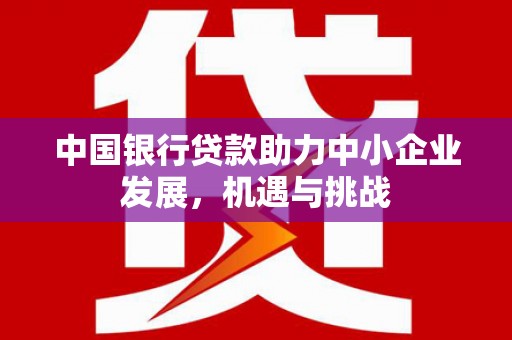夏县中国银行贷款助力中小企业发展，机遇与挑战