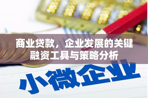 夏县商业贷款，企业发展的关键融资工具与策略分析