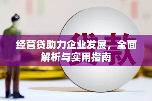夏县经营贷助力企业发展，全面解析与实用指南