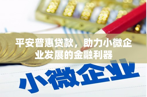 夏县平安普惠贷款，助力小微企业发展的金融利器