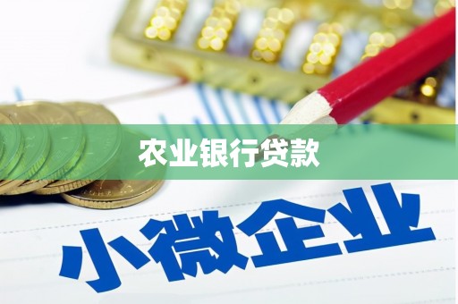 夏县农业银行贷款