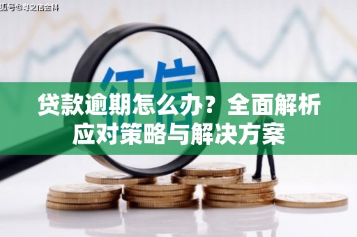 夏县贷款逾期怎么办？全面解析应对策略与解决方案