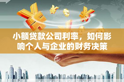 夏县小额贷款公司利率，如何影响个人与企业的财务决策