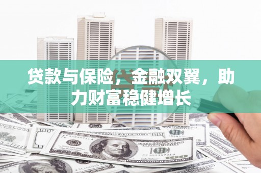 夏县贷款与保险，金融双翼，助力财富稳健增长