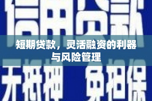 夏县短期贷款，灵活融资的利器与风险管理