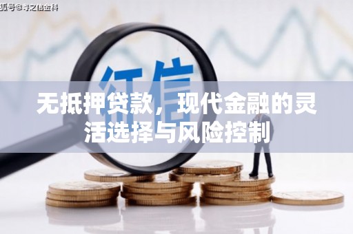 夏县无抵押贷款，现代金融的灵活选择与风险控制